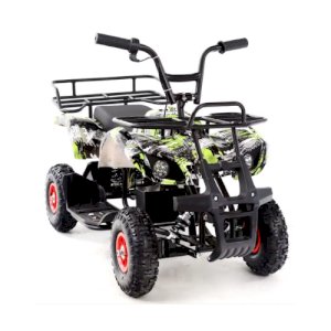 ელექტრო კვადროციკლი 6689G