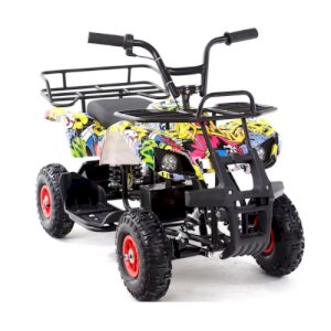 ელექტრო კვადროციკლი 6689WRE