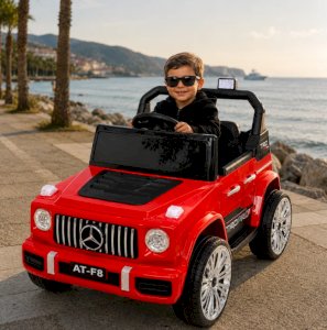 ელექტრო მანქანა Mercedes MR616-R