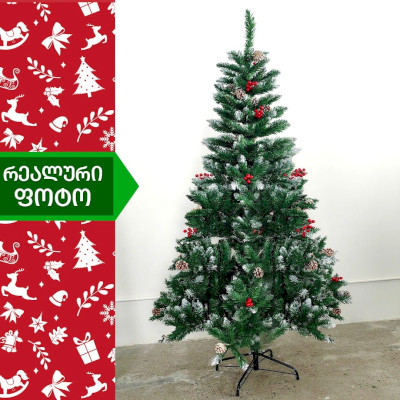 ნაძვის ხე პრაღა 200 სმ (CS-200)