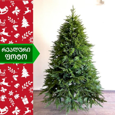 ნაძვის ხე ჰიმალაი 210სმ (PS-210)