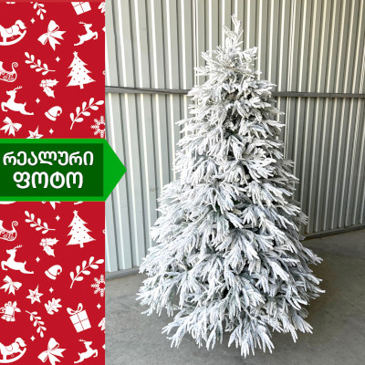 ნაძვის ხე კანადა 210 სმ (TS-210)